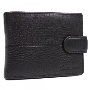 YL Мужское портмоне Catiroya  L506-207